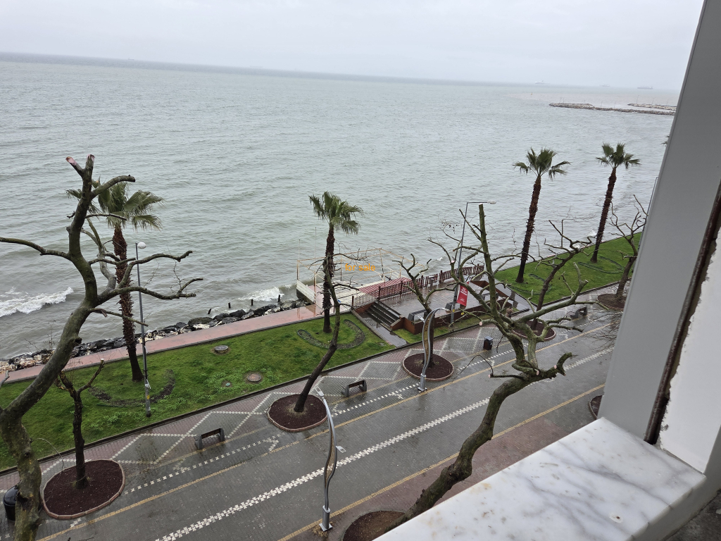 Coastal Road
