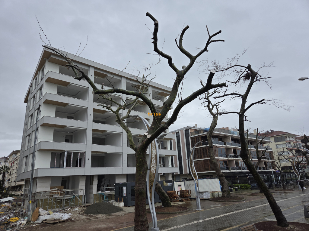 Seafront building
